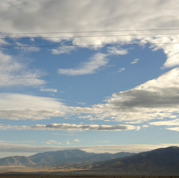 Meet your Posher, Veronica - Picture 1 of 1